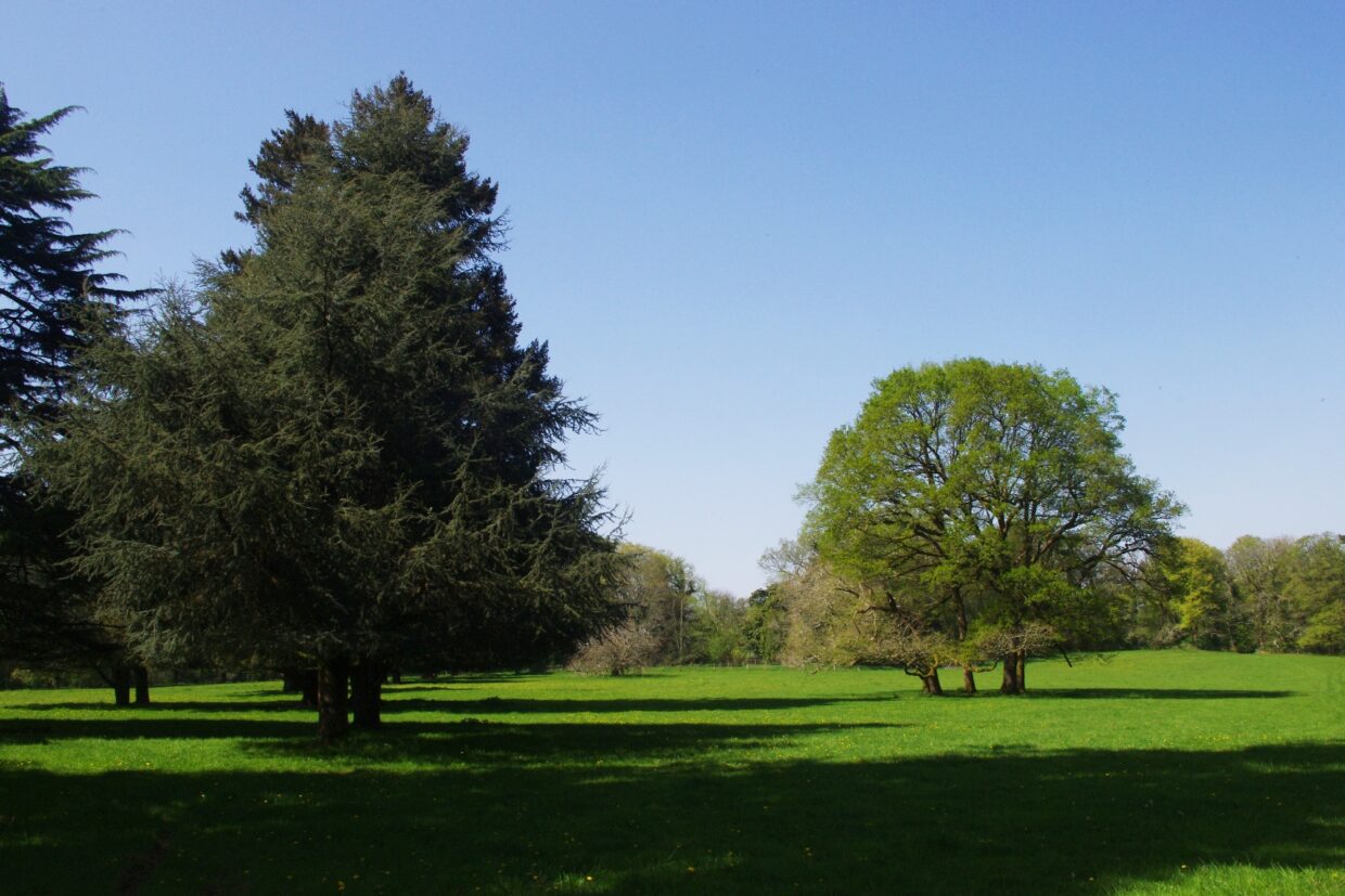 Parc de la Boissière