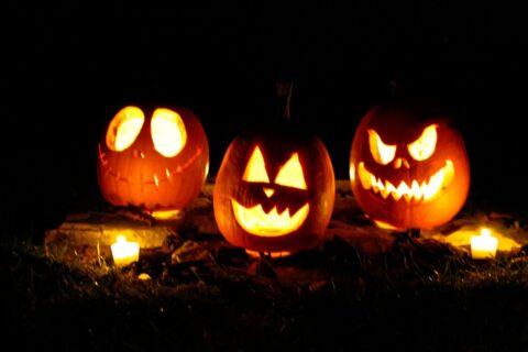 jack o lantern on brown dried leaves